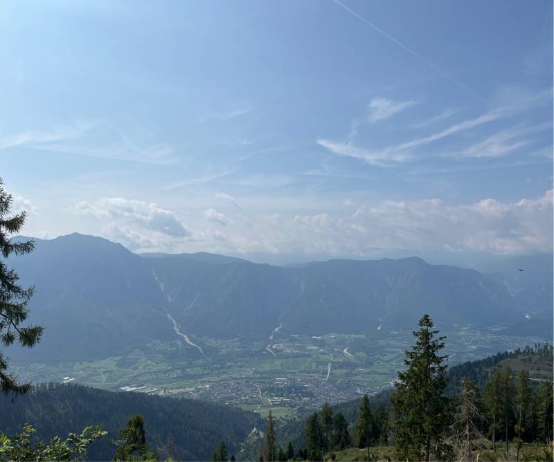 Fotosegnalazione di Vetriolo