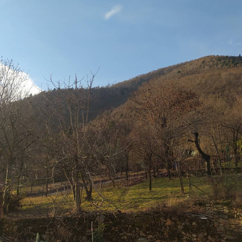 Val della torre 7 gennaio 2022