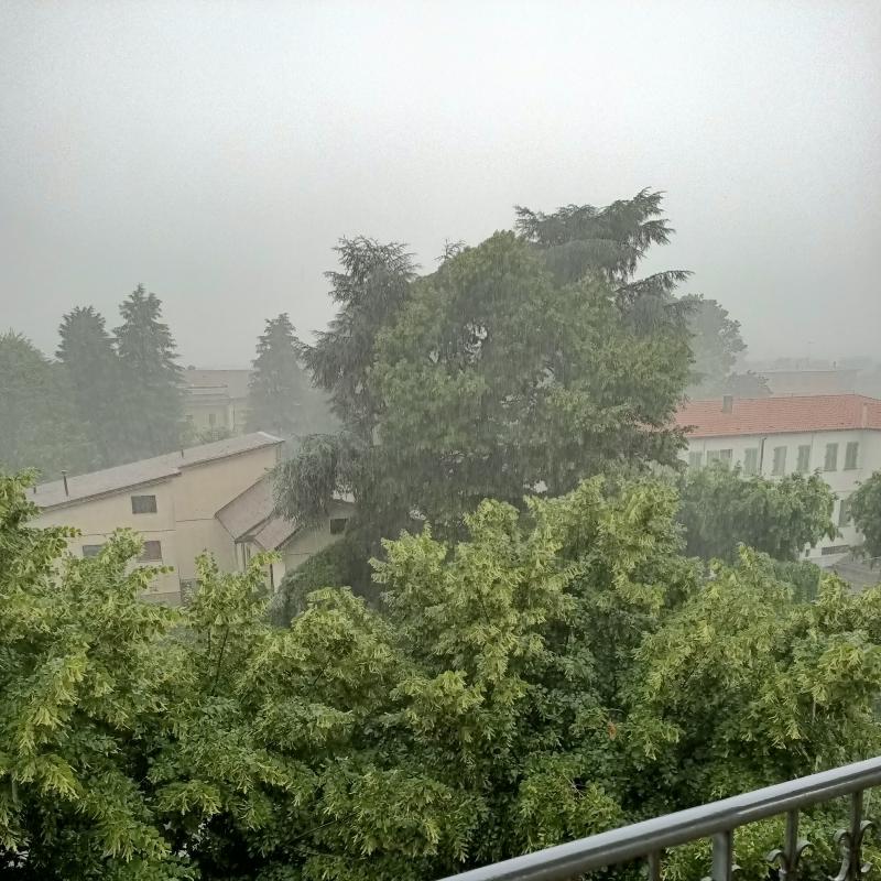 Fotosegnalazione di Crema