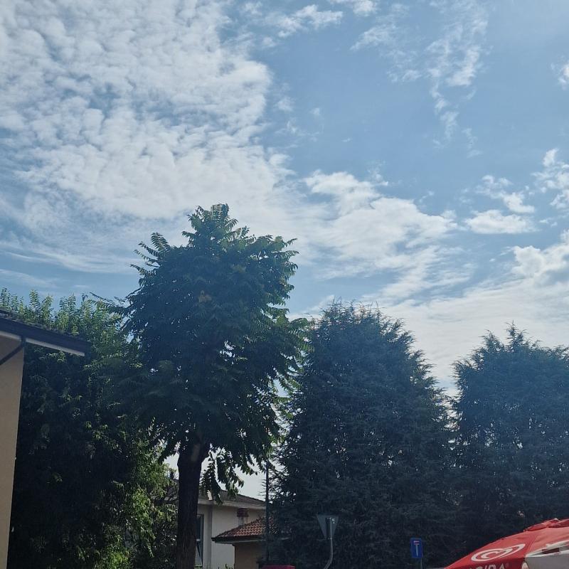 Fotosegnalazione di Piacenza sud
