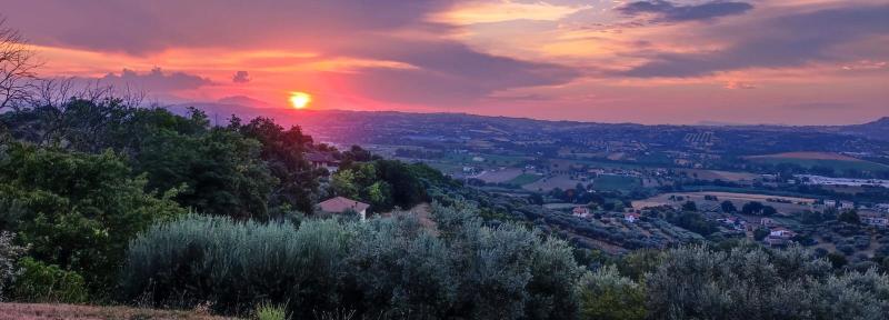 l' estate e' arrivata...