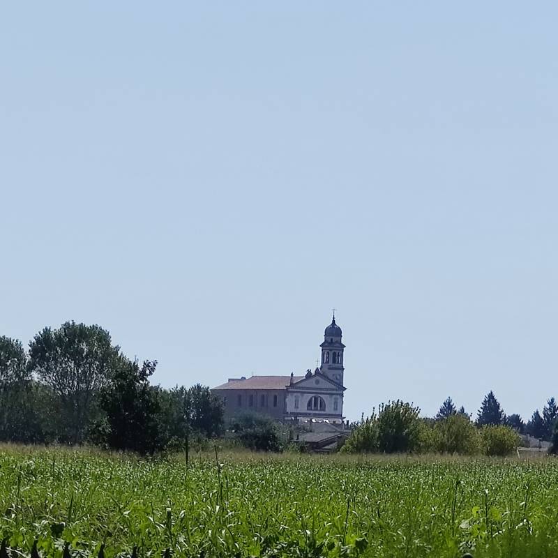 Fotosegnalazione di Tribano