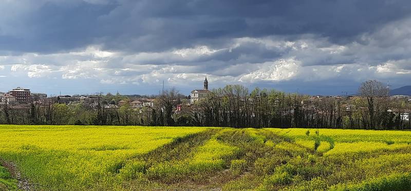 lunedi' 1 aprile