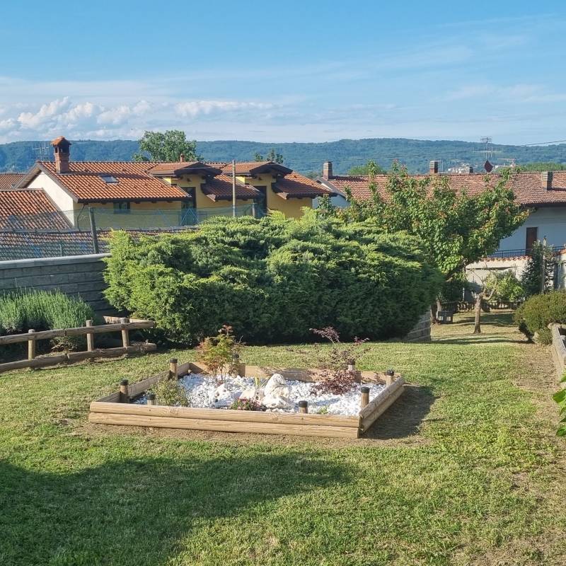 Vische nel giardino