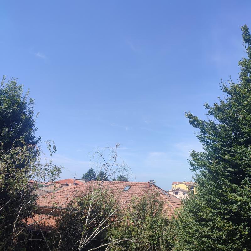 Fotosegnalazione di Paderno dugnano