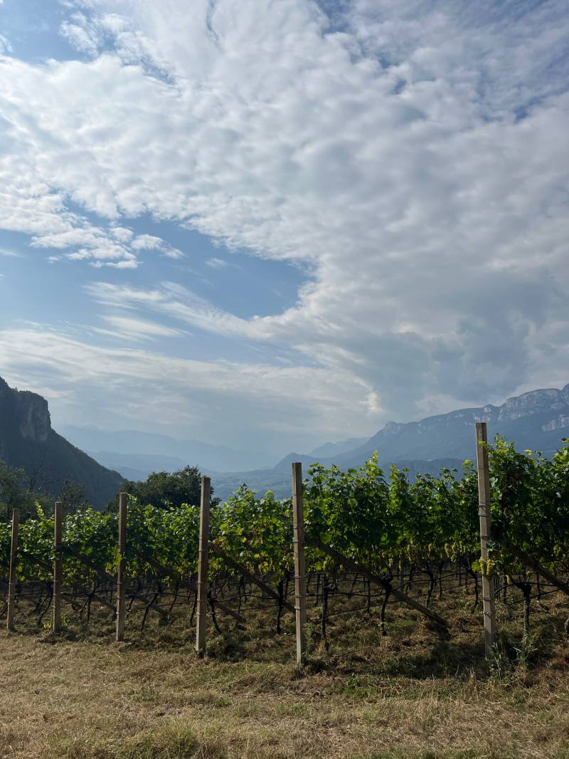 Fotosegnalazione di Terlano