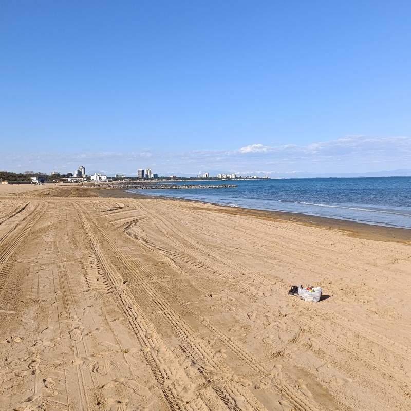 Fotosegnalazione di Lignano pineta