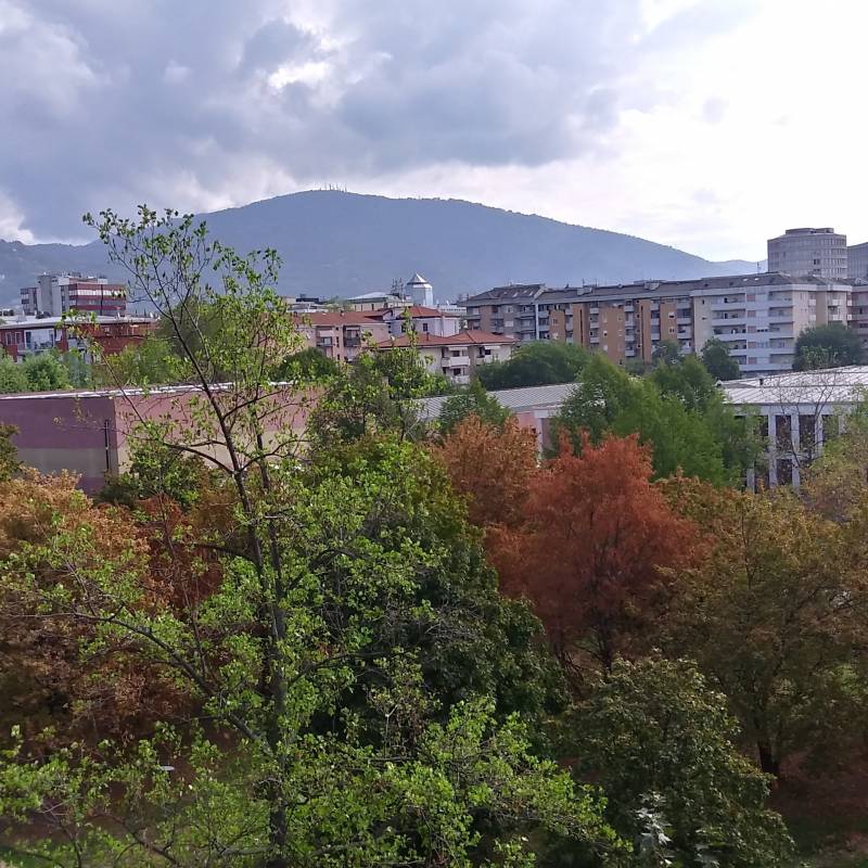 Fotosegnalazione di Brescia lamarmora