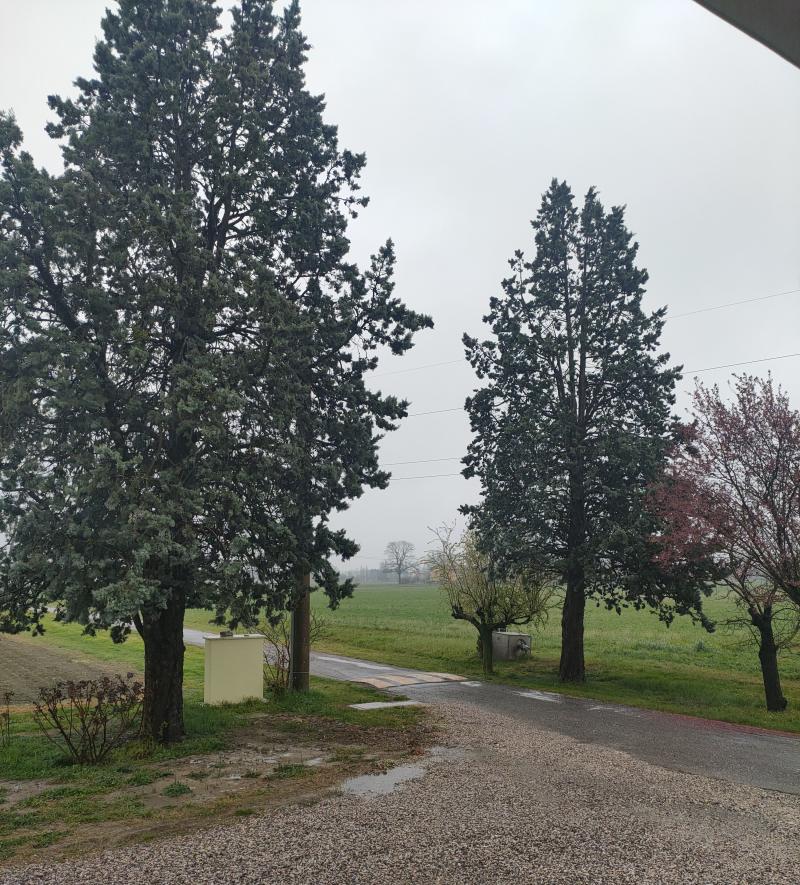 giorno di primavera