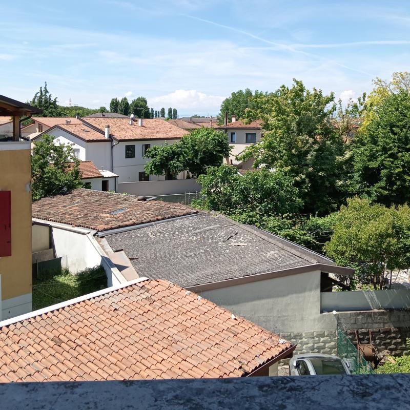 Fotosegnalazione di Mira