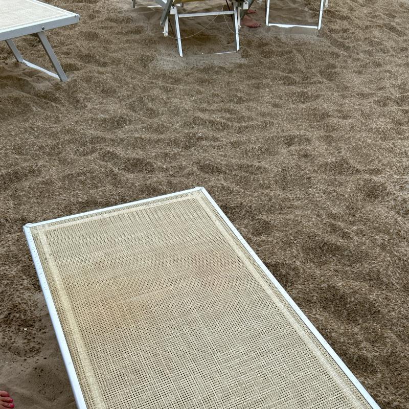 Fotosegnalazione di Riccione