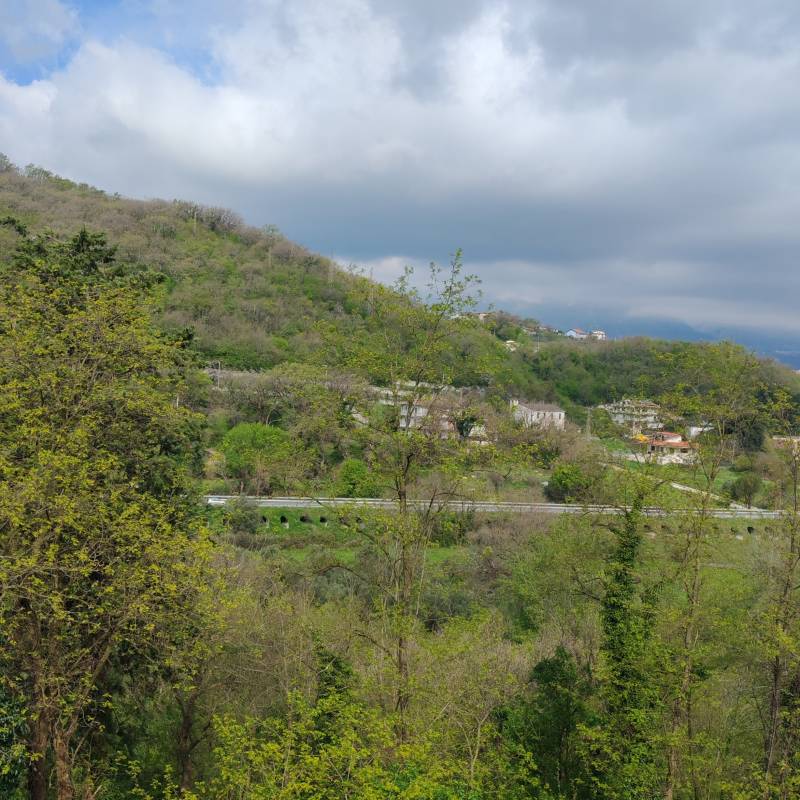 Fotosegnalazione di Contursi terme