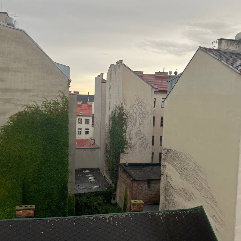 Fotosegnalazione di Vienna