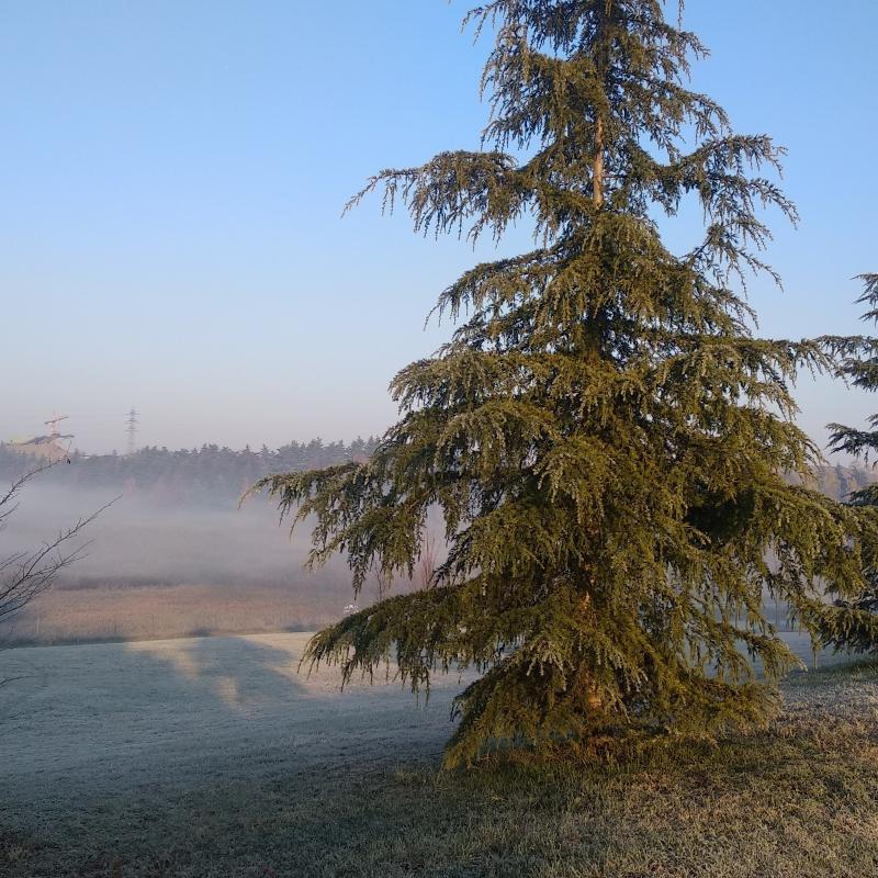 Fotosegnalazione di Paderno dugnano