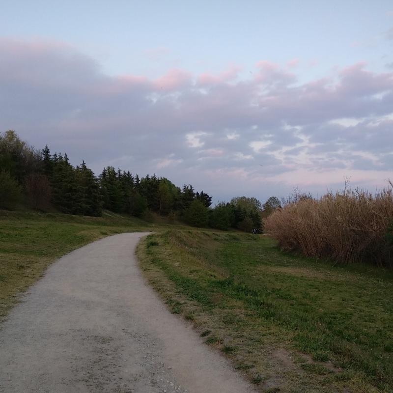 Fotosegnalazione di Paderno dugnano