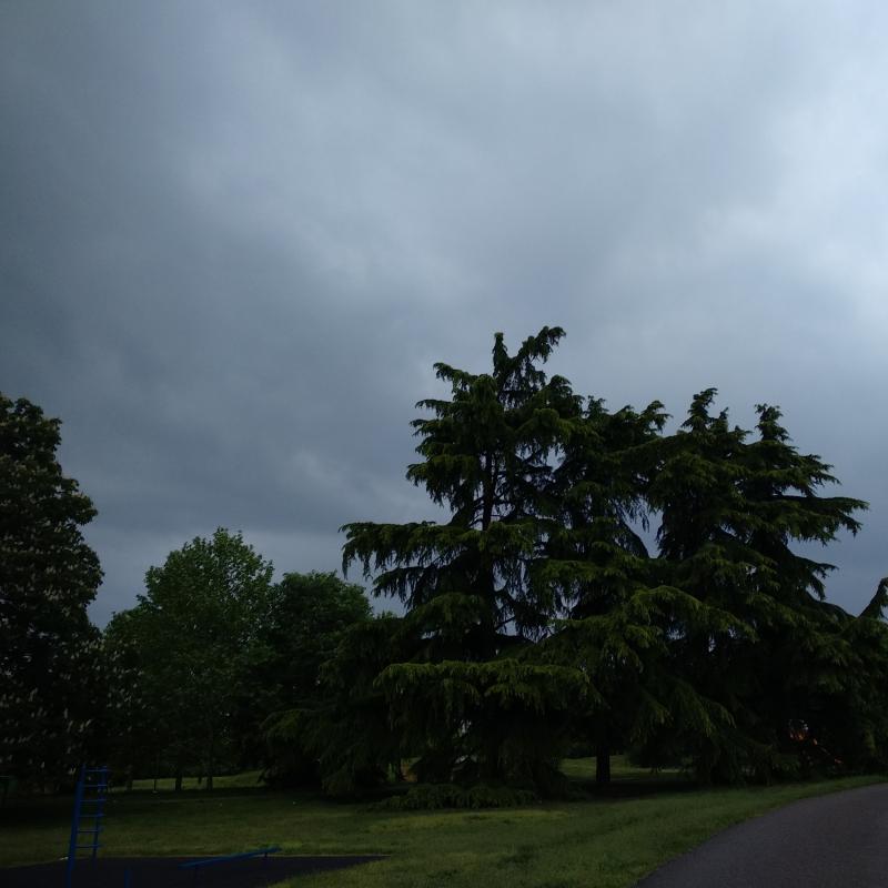 Fotosegnalazione di Paderno dugnano