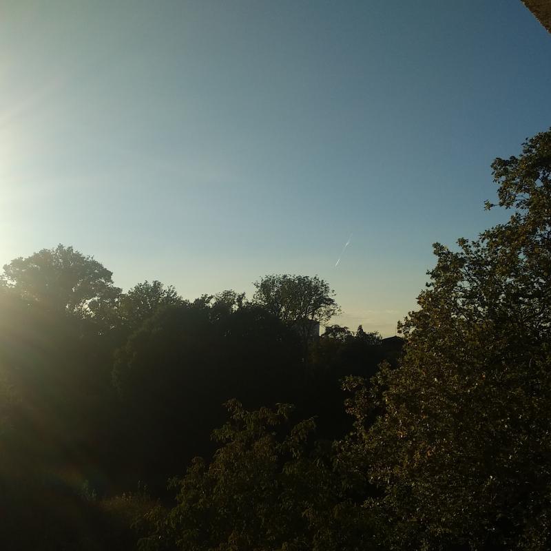 Fotosegnalazione di Paderno dugnano
