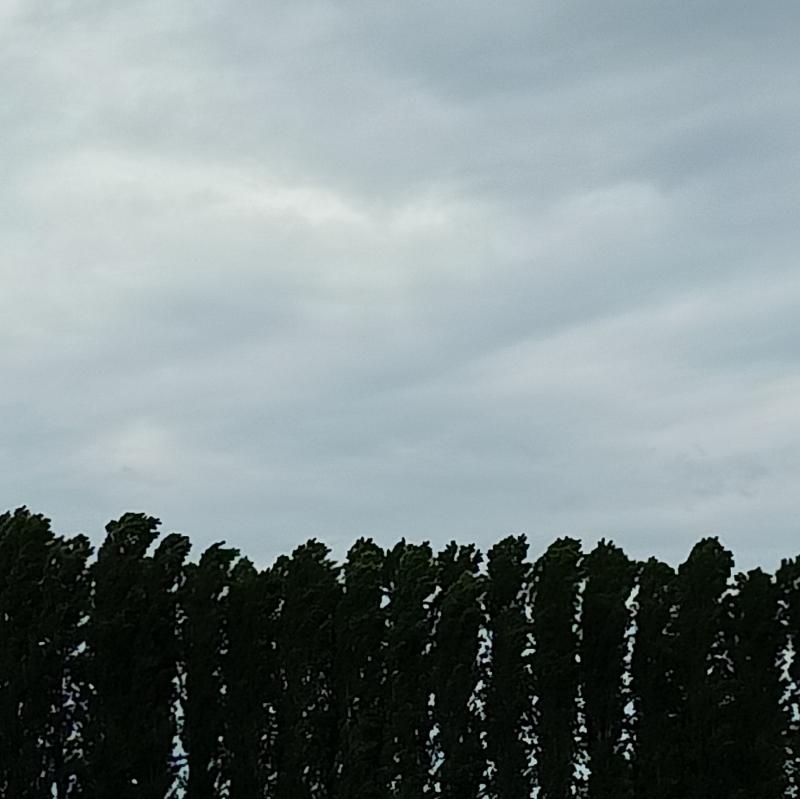 Fotosegnalazione di Quinto di treviso