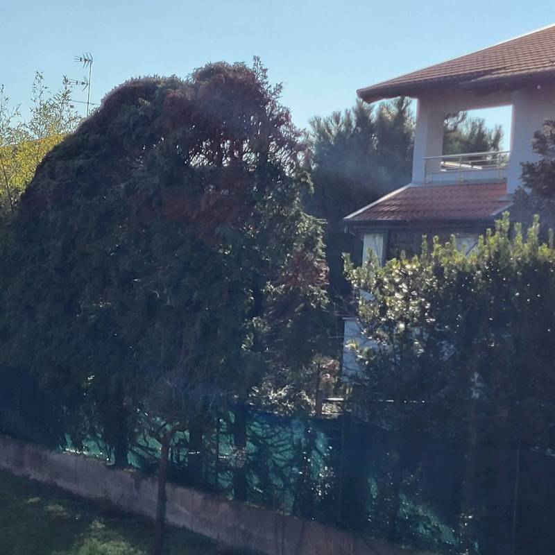 dopo pioggia mista a neve di ieri oggi sole e freddo