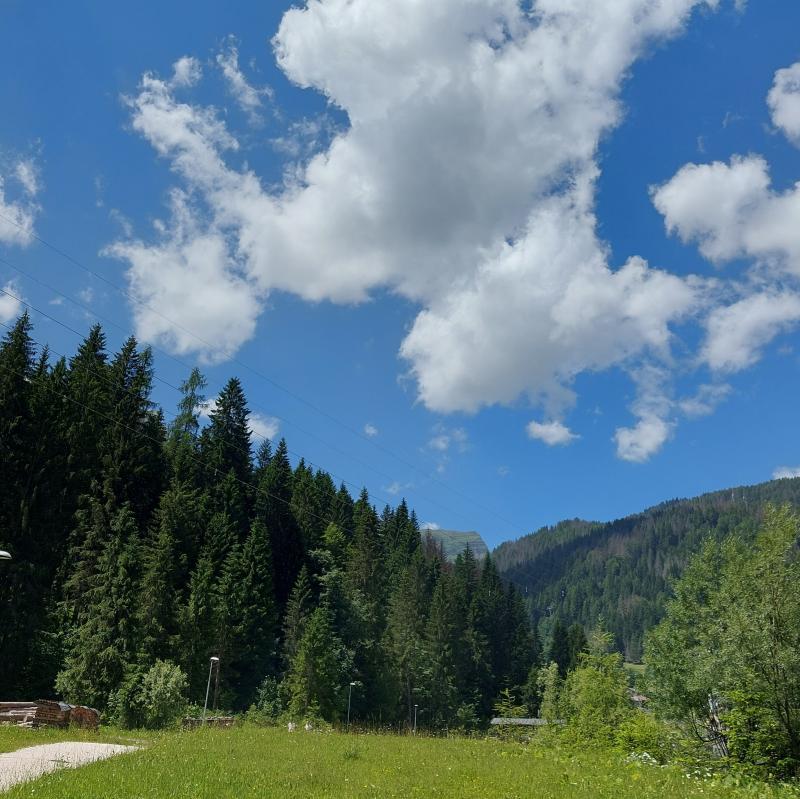 Fotosegnalazione di Falcade