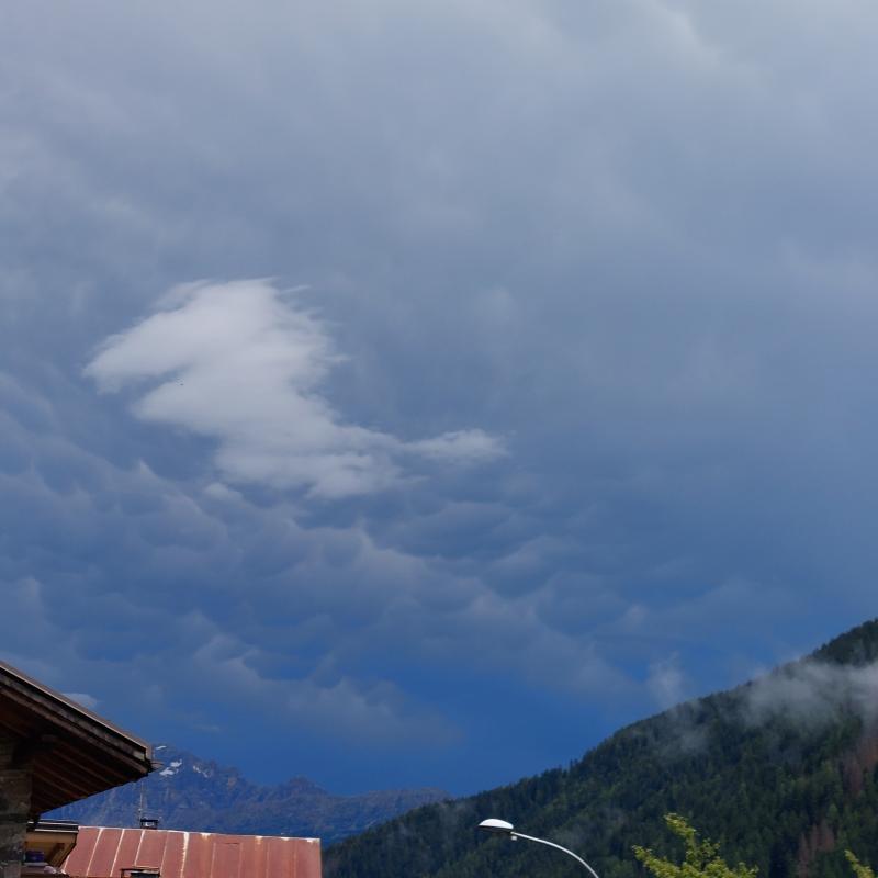 Fotosegnalazione di Falcade