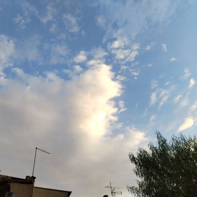 Fotosegnalazione di Pedalino