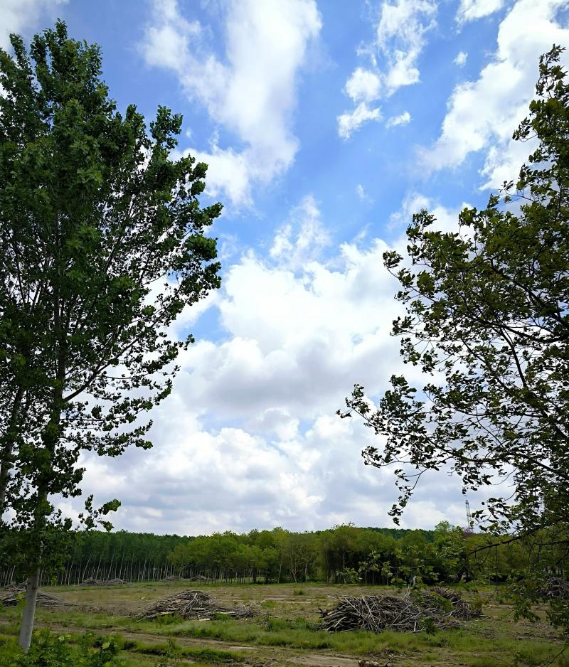 passeggiata tra bagnolo e san biagio