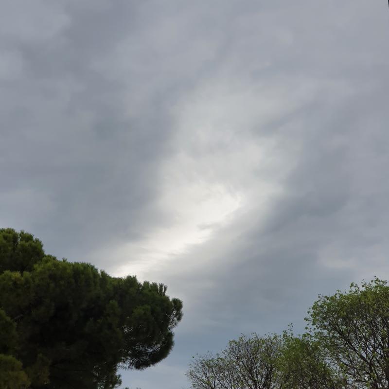 Fotosegnalazione di Pescantina