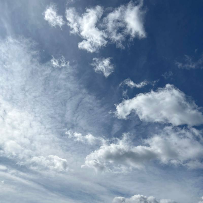 Fotosegnalazione di Oslo