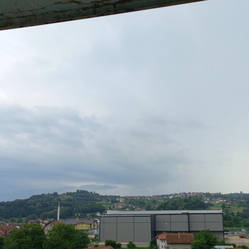 Fotosegnalazione di Matuzii