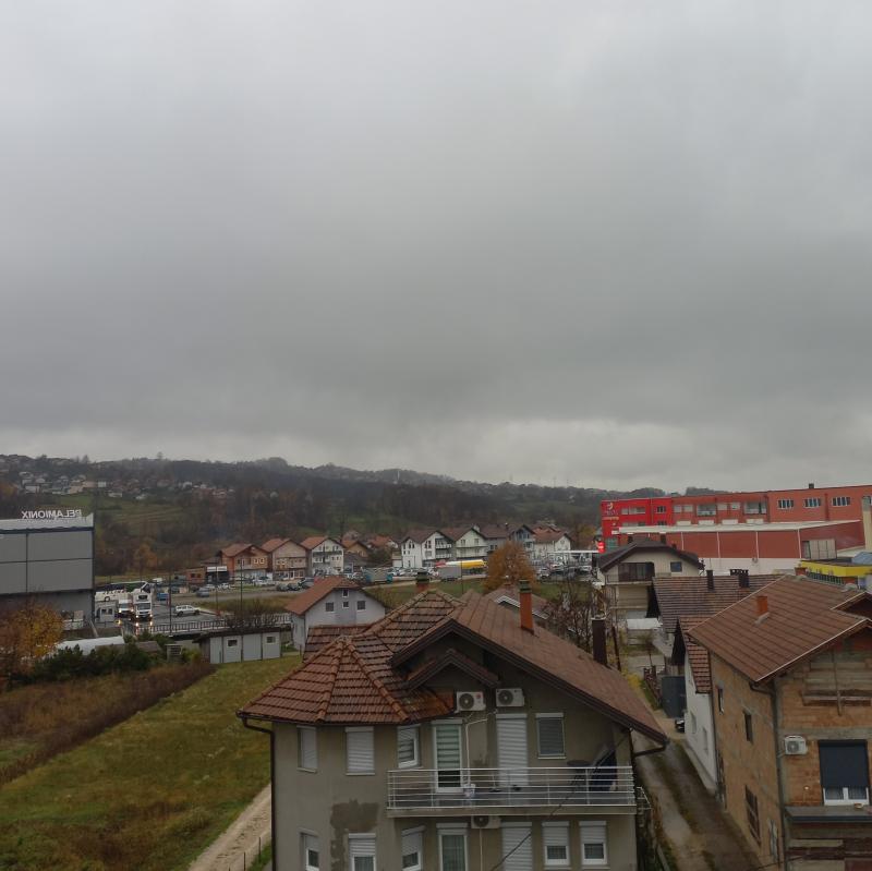 Fotosegnalazione di Matuzii