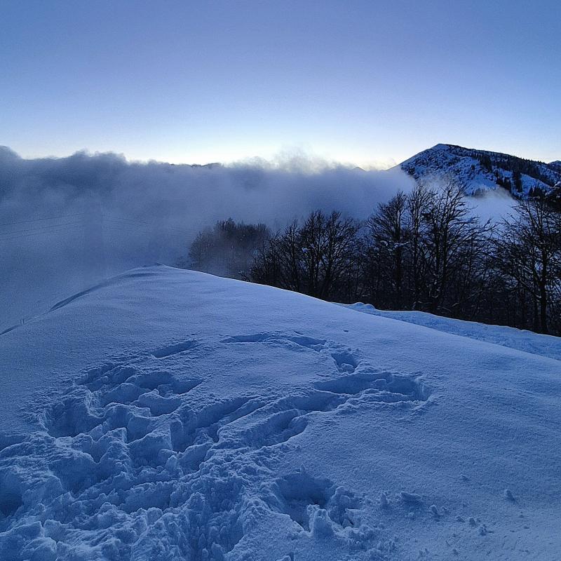 21 gennaio 35 cm