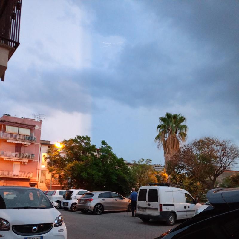 Fotosegnalazione di Scordia