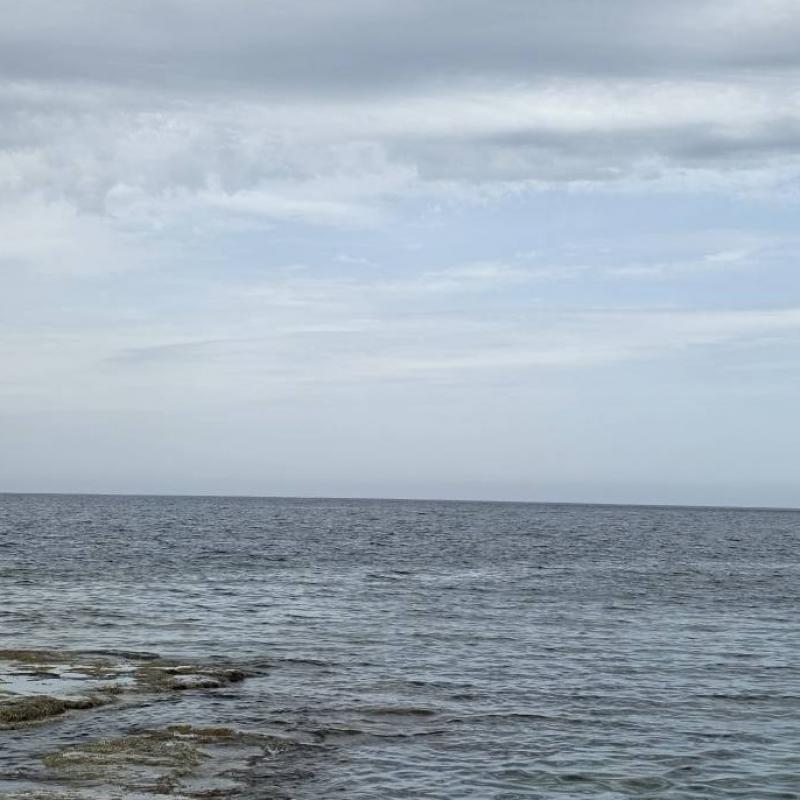 Pioggia