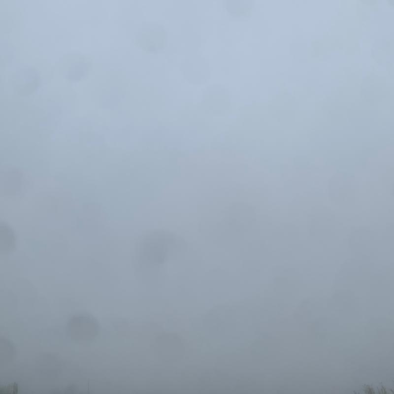 Fotosegnalazione di Nizza monferrato