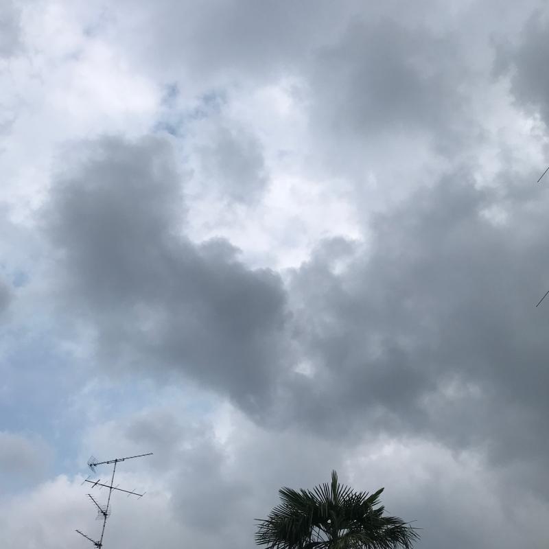 Fotosegnalazione di Cassano magnago