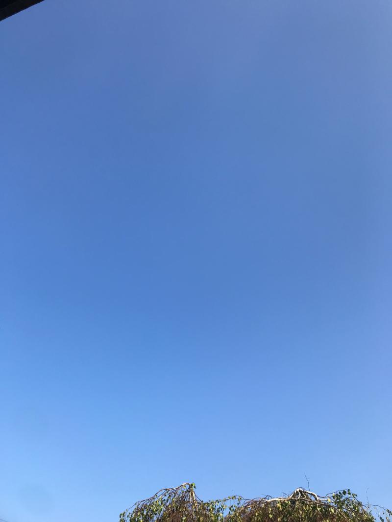 Fotosegnalazione di Cassano magnago