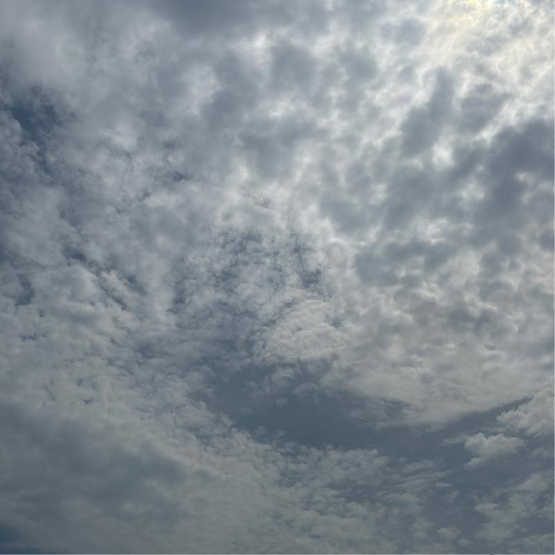 Fotosegnalazione di Cetara