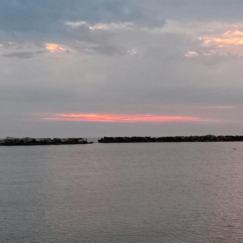 Fotosegnalazione di Bellaria igea marina