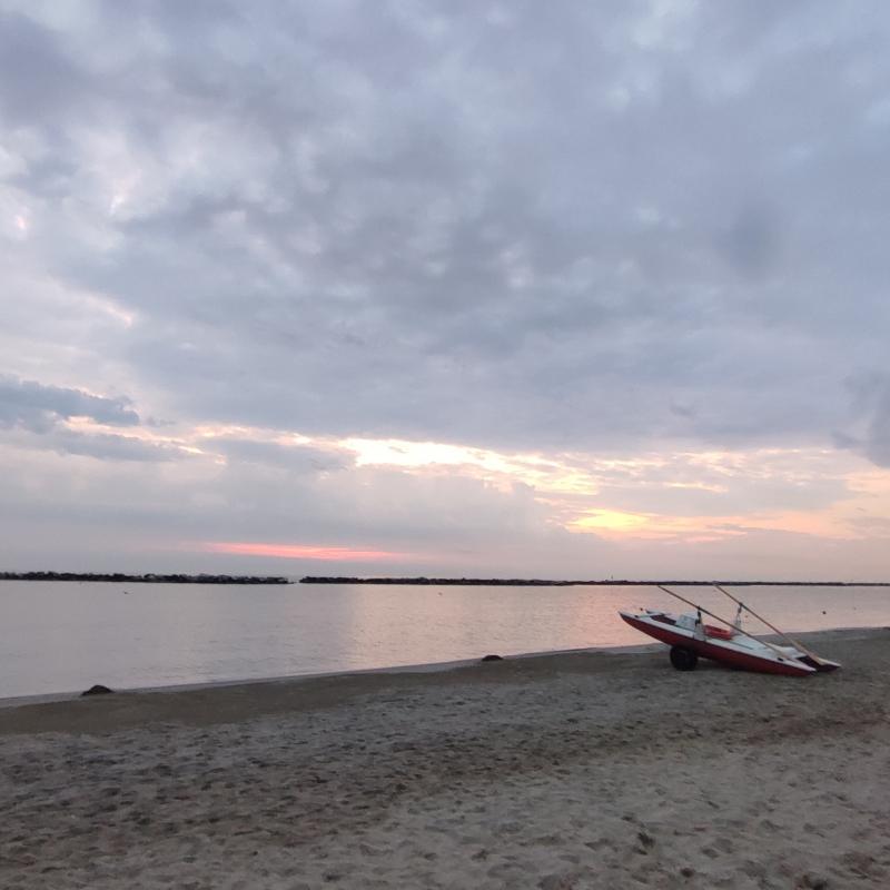 Fotosegnalazione di Bellaria igea marina