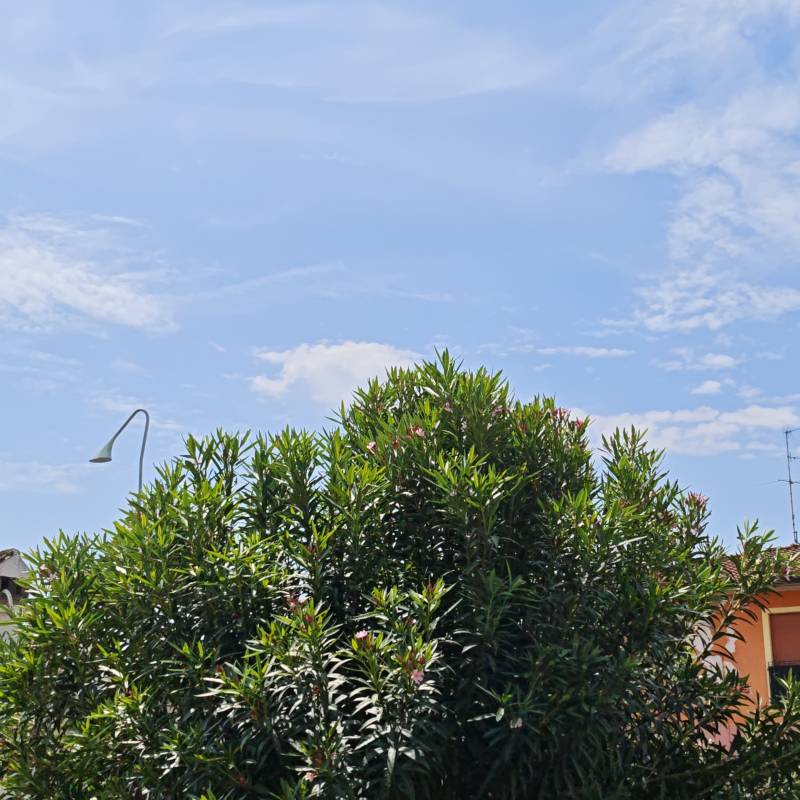 Fotosegnalazione di Maclodio