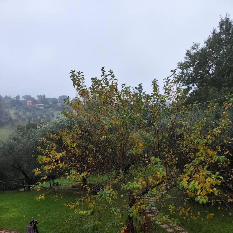 Fotosegnalazione di Poggio mirteto