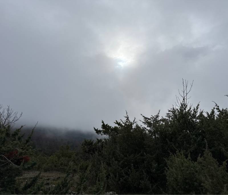 Fotosegnalazione di Monte san giovanni in sabina