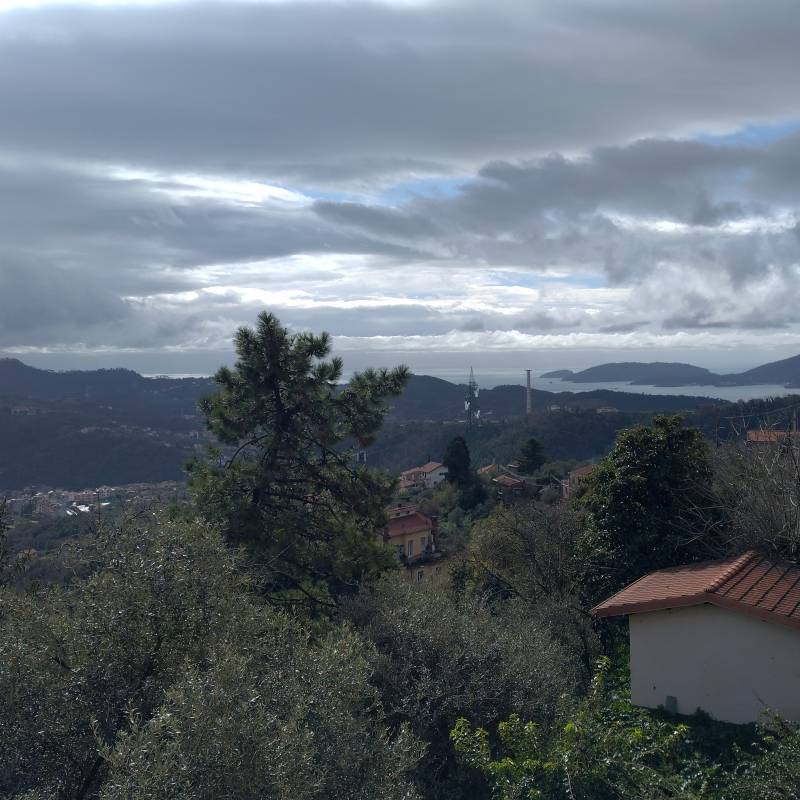 Fotosegnalazione di Vezzano ligure