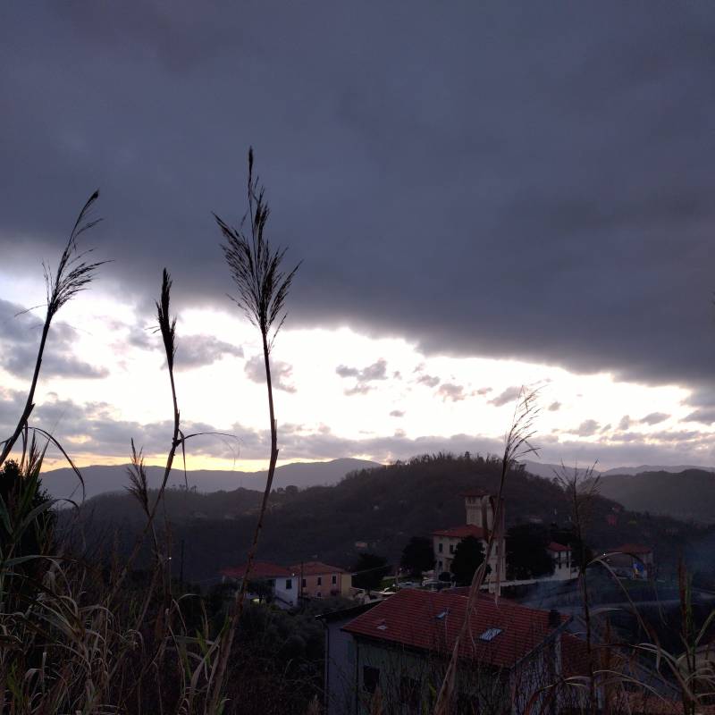 Fotosegnalazione di Vezzano ligure