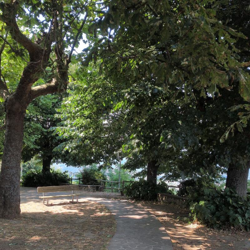 Fotosegnalazione di Vezzano ligure