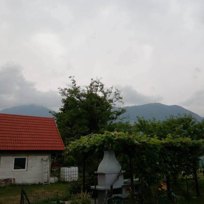 Fotosegnalazione di Tolmino