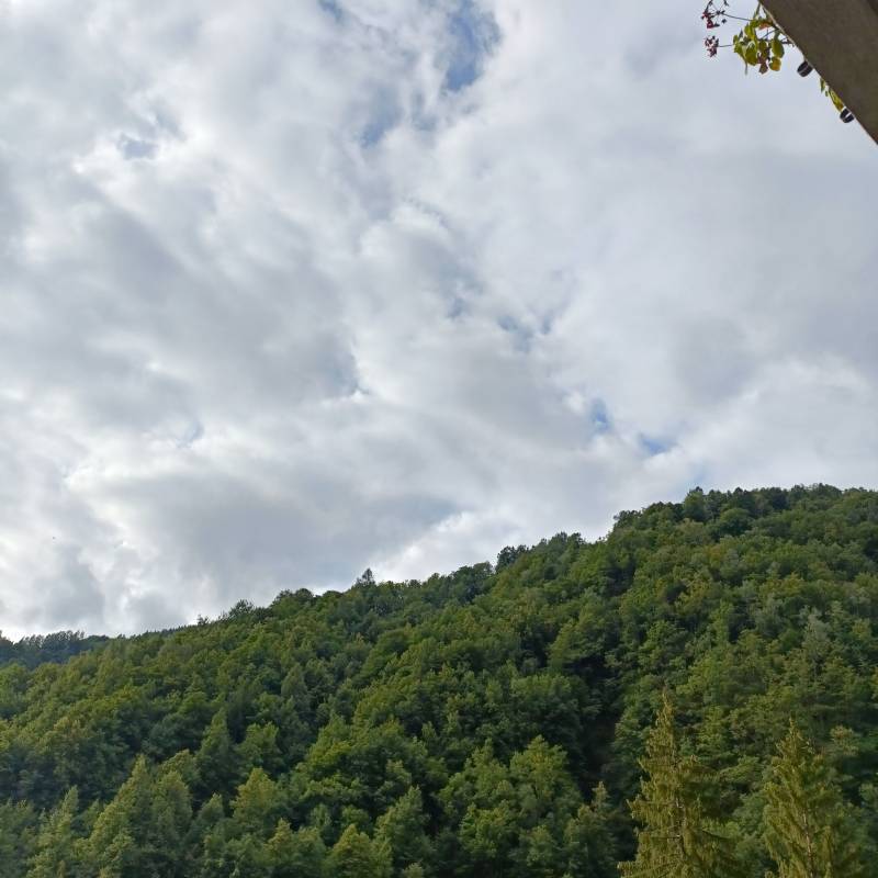 Fotosegnalazione di Bognanco fonti