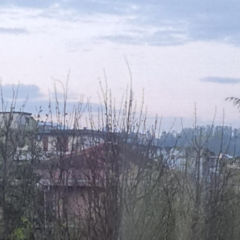 Fotosegnalazione di Firenze gavinana