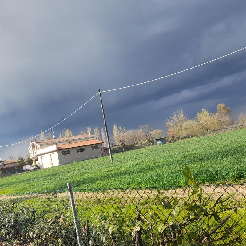 Fotosegnalazione di Castelfranco emilia